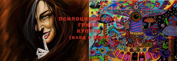молекула духа Алзамай