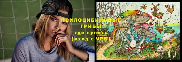 молекула духа Алзамай