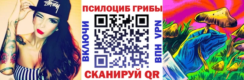 где купить наркоту  Лагань  Галлюциногенные грибы Psilocybe 